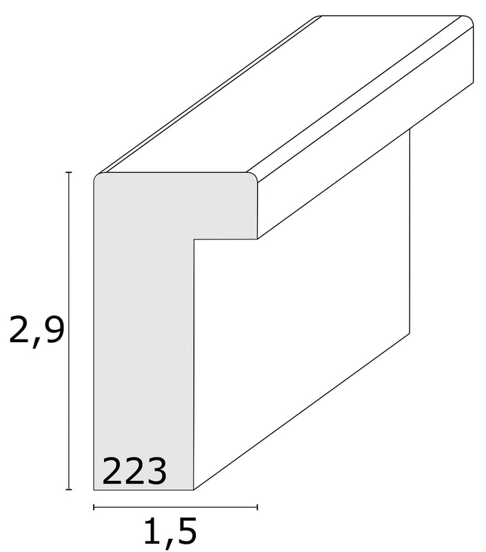 Vierluik fotolijst 10x15 - Deknudt S223K2 P4