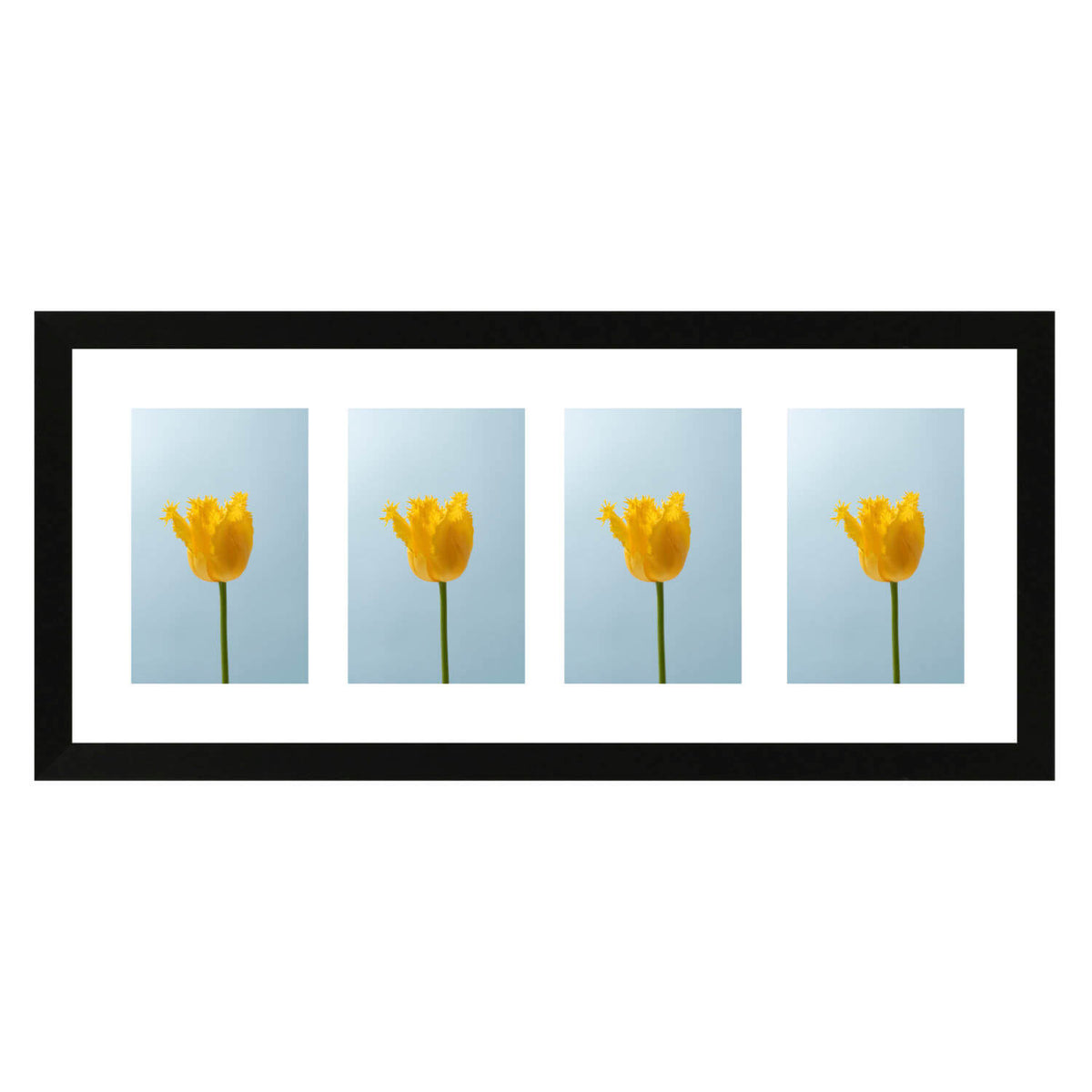 Fotolijst Anima - vierluik 10x15 cm - zwart